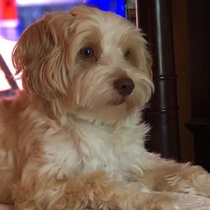 Meet your Posher, Christian